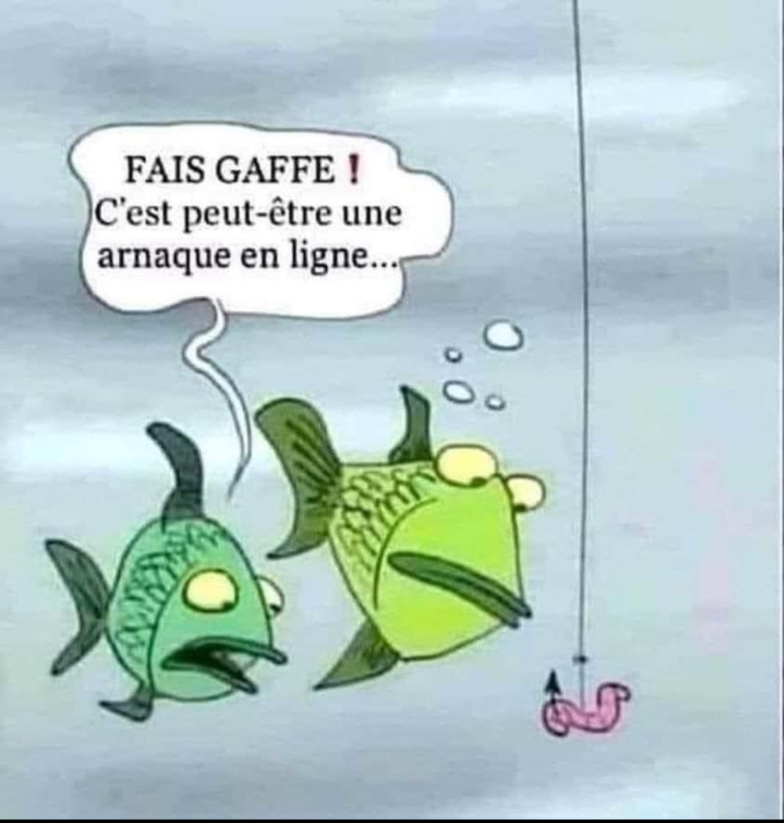 Des poissons a l’épreuve du phishing 😏