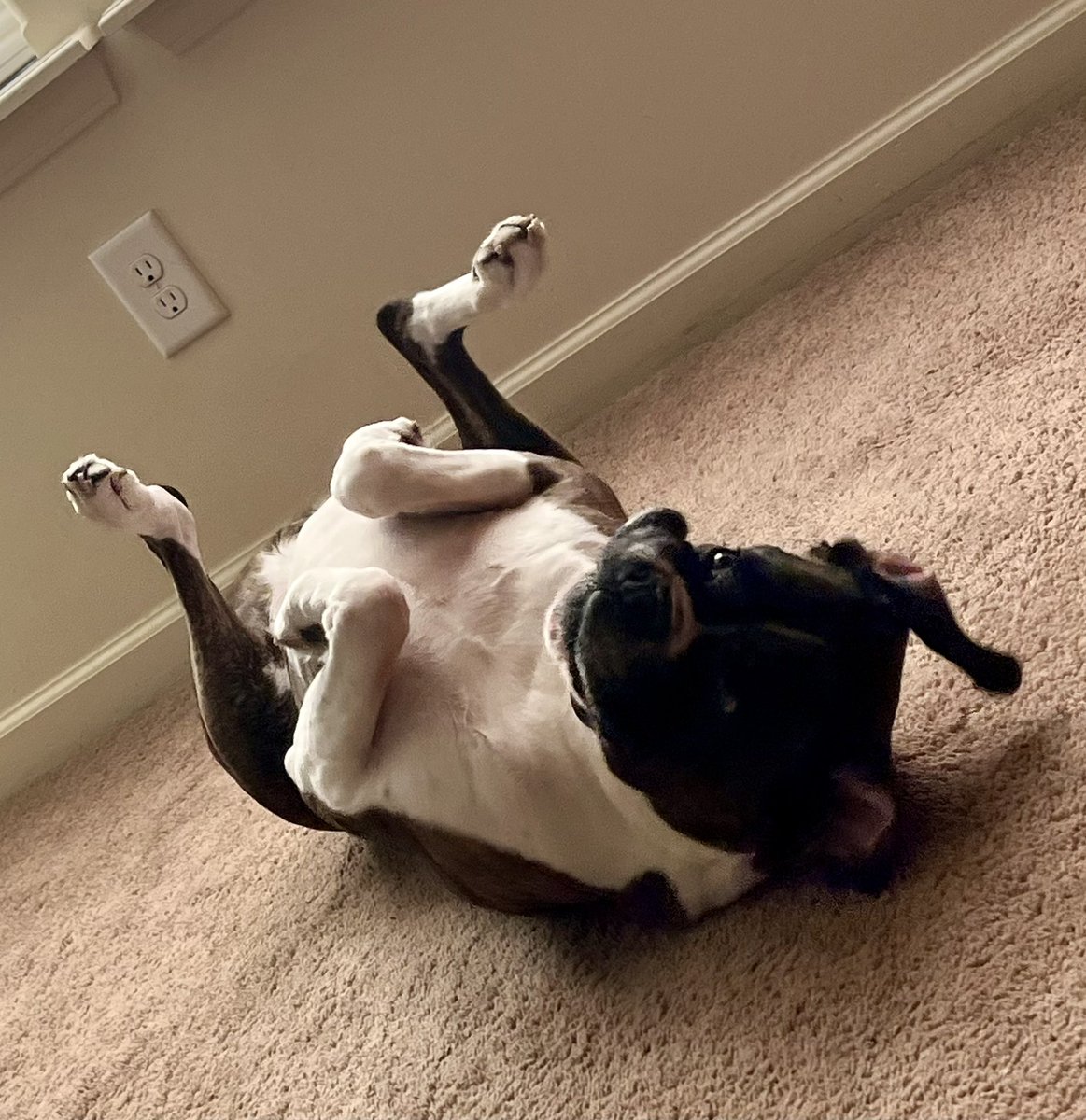 JP enjoying some upside down time:)