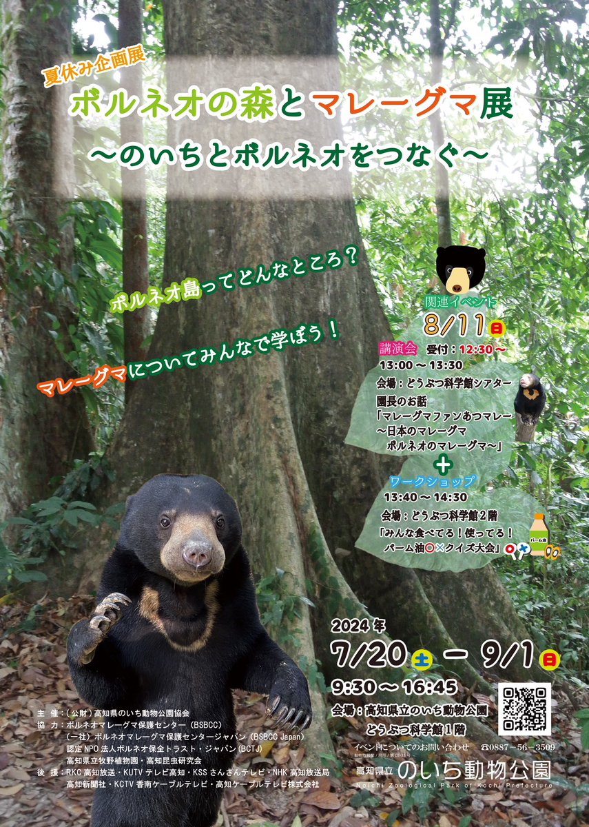 BSBCC_Japan's tweet photo. ＼この夏はのいち動物公園へ！／

2024年7月20日〜9月1日
高知県立のいち動物公園でボルネオのマレーグマとその保護活動に関する展示が行われます🐻✨

我々もたくさん資料提供をし、最高のマレー展になると思うので、ぜひチェックしてみてください！

詳細はこちら👇
https://t.co/qp0GieFqea https://t.co/m8a1ALPgkU