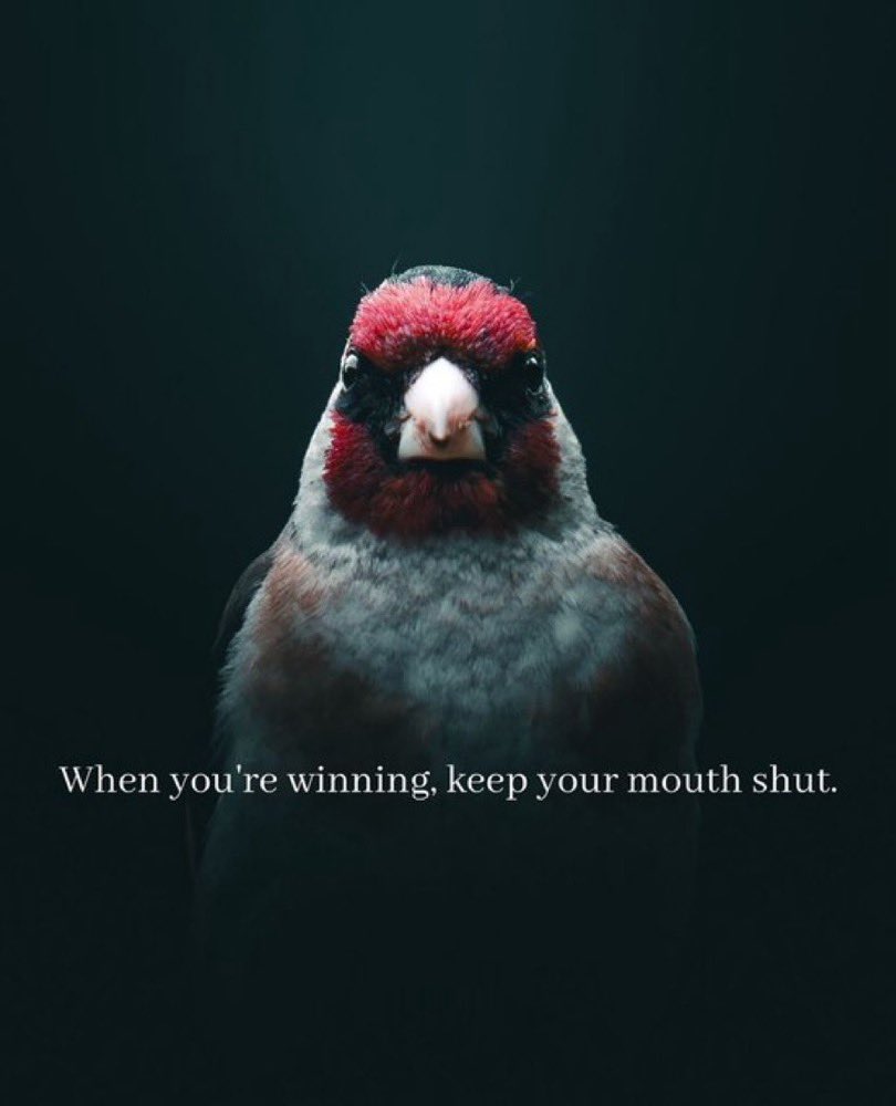 ReemsQuotes's tweet image. أبقِ فمك مغلقاً وأنت تكسب.