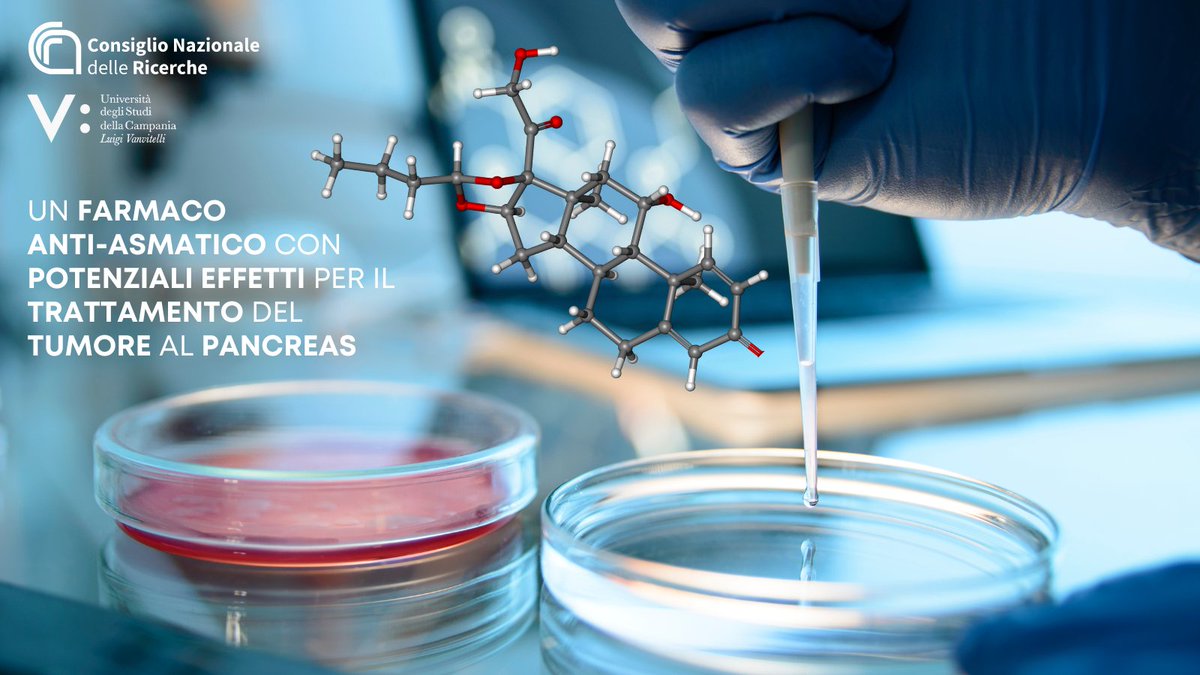 CNR Consiglio Nazionale delle Ricerche (@cnrsocial_) on Twitter photo Il budesonide, un farmaco anti-asmatico, può avere significativi effetti antiproliferativi sulle cellule del tumore pancreatico
Ecco lo studio coordinato <a href="/CnrIgb/">CNR IGB - Institute of Genetics and Biophysics ABT</a> di Napoli, in collaborazione con <a href="/unicampania/">UniversitàVanvitelli</a> e istituzioni di ricerca straniere👇
cnr.it/it/comunicato-…
<a href="/MC_Carro/">MariaChiara Carrozza</a> Il budesonide, un farmaco anti-asmatico, può avere significativi effetti antiproliferativi sulle cellule del tumore pancreatico
Ecco lo studio coordinato <a href="/CnrIgb/">CNR IGB - Institute of Genetics and Biophysics ABT</a> di Napoli, in collaborazione con <a href="/unicampania/">UniversitàVanvitelli</a> e istituzioni di ricerca straniere👇
cnr.it/it/comunicato-…
<a href="/MC_Carro/">MariaChiara Carrozza</a>