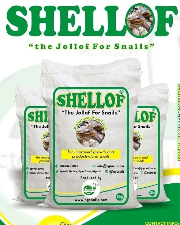 NGsnails's tweet photo. Quickly send a Call/WhatsApp 08078630043 to place your orders for SNAIL JOLLOF and experience the joy of snail farming.
-
#snailfeed #snailgrowth #snaileggs #farming #snailfarming #snailfarms #shellof #ngsnails https://t.co/OtcusbUmZG