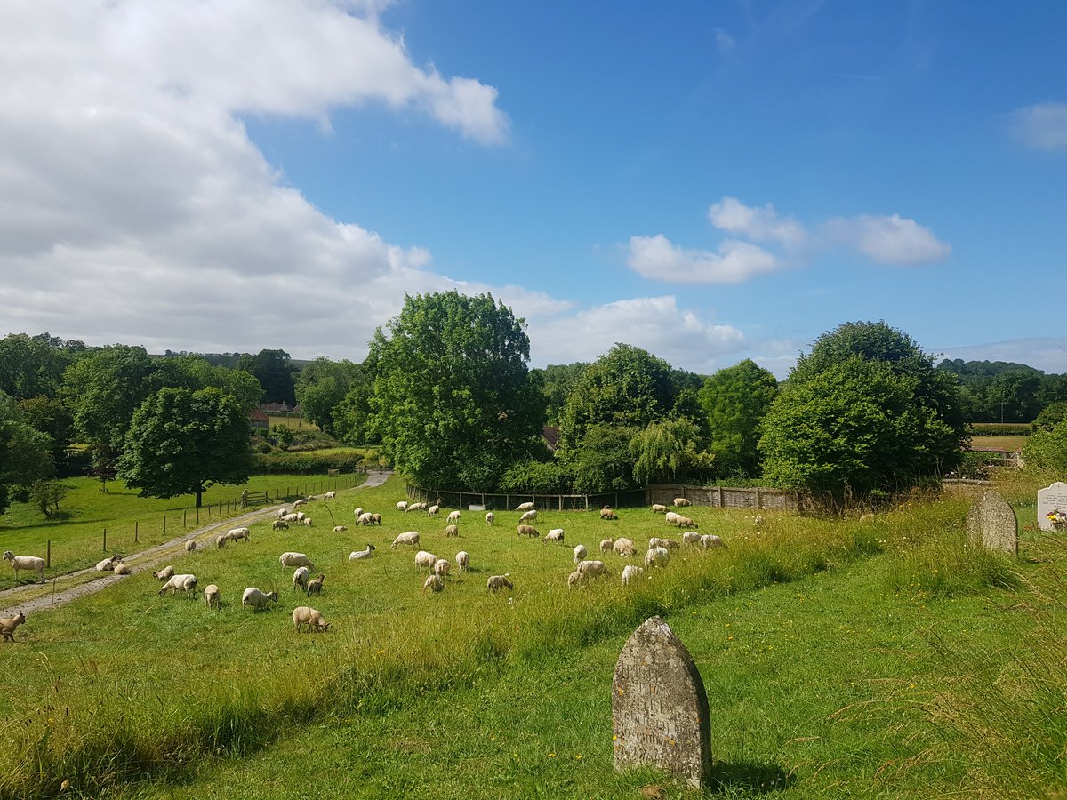 TheHistoryMouse's tweet photo. Another #TombWithAView from #StMaryAlvediston. Looking across the the sheep filled pasture of the River Ebble. The perfect place to rest #TombTuesday https://t.co/pVFQIKkRbF