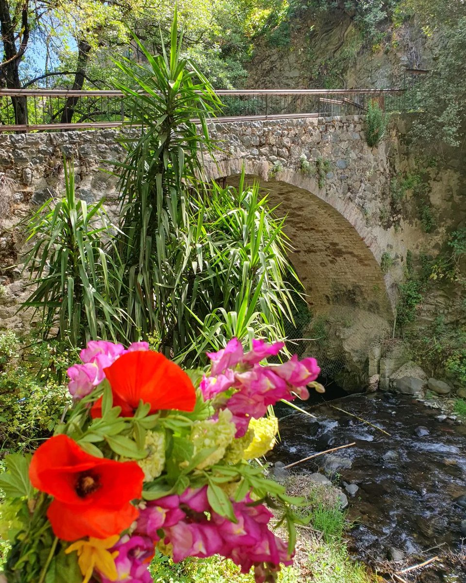 visitcyprus's tweet photo. Beat the summer heat in the coolest spot around - Kakopetria village in the Troodos Mountains! 🌄 Chill vibes, stunning views, and the perfect summer escape. Don't miss out! ✨ #VisitCyprus #CyprusSummer #Cyprus2024 #Kakopetria
📷 IG nora_michael https://t.co/0Aczq0iPxo