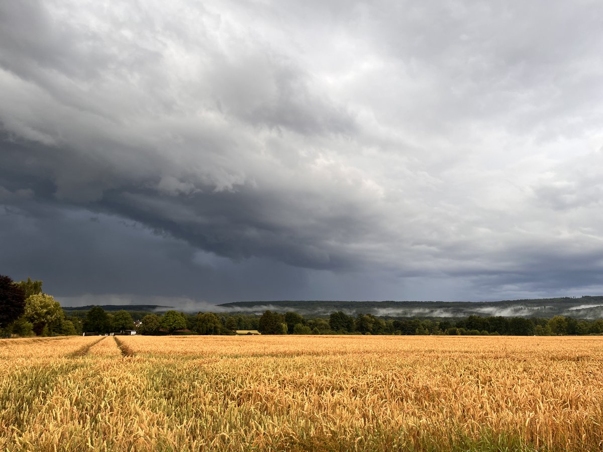 Sustainable Oral Health (@oralhealth17) on Twitter photo NEW >> oral health publishing opportunities COP 30 Climate Conference >> Driving Research for Oral Health, Planetary Health and Sustainable Development frontiersin.org/research-topic… which will act as the key resource for oral health meeting at COP30 Brazil 2025 #sustainableoralhealth NEW >> oral health publishing opportunities COP 30 Climate Conference >> Driving Research for Oral Health, Planetary Health and Sustainable Development frontiersin.org/research-topic… which will act as the key resource for oral health meeting at COP30 Brazil 2025 #sustainableoralhealth