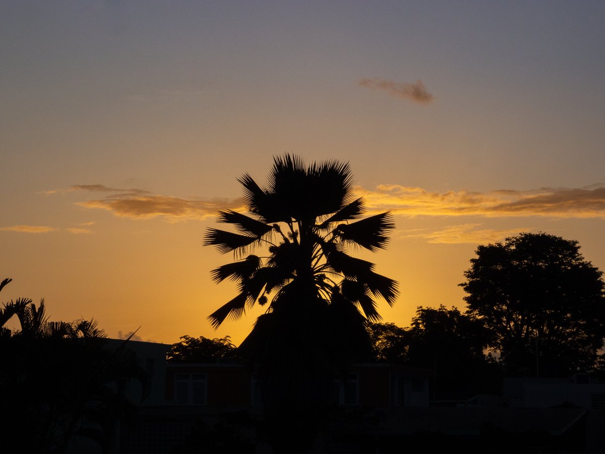 edleethompson's tweet image. Sunrise and Sandy.
.
#OlympusXZ1 #CCDsensor #olympusphotography #olympus #olympusccd
