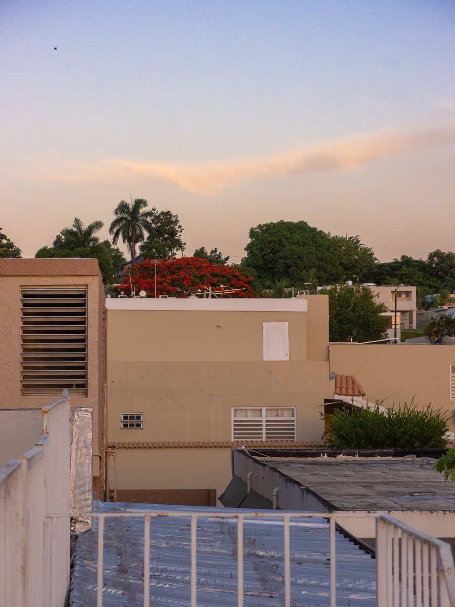 edleethompson's tweet image. Sunrise and Sandy.
.
#OlympusXZ1 #CCDsensor #olympusphotography #olympus #olympusccd