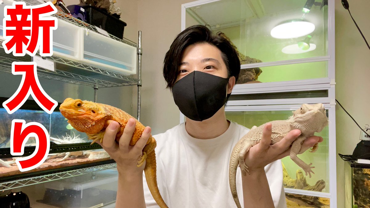 aririn_leopa's tweet photo. ▼YouTube更新

明松とトゲ松とそして... 
https://t.co/Fif85lbST2

フォロー＆RTでRAFchステッカー当たります🎯
本日も宜しくお願いします🤲 https://t.co/q1BonyTQjI