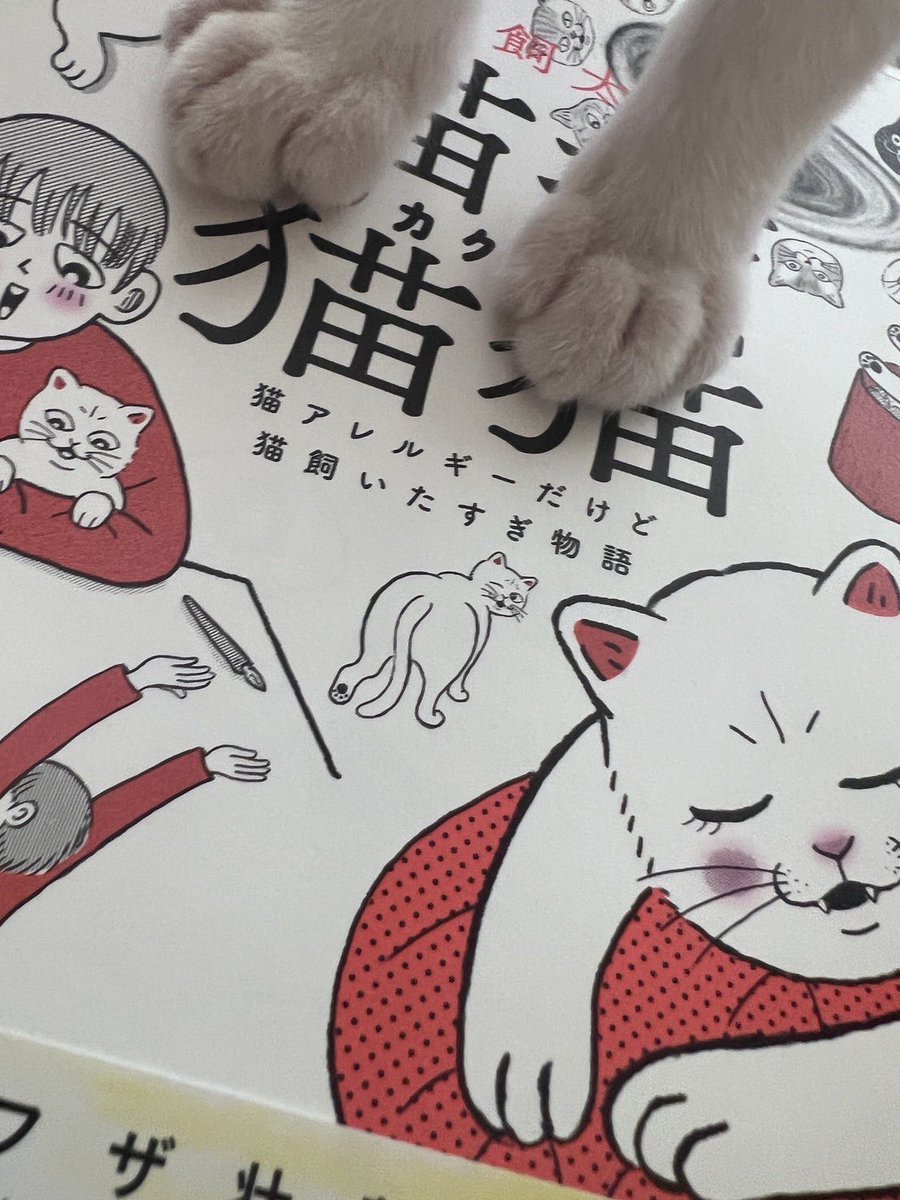 猫飼太陽 (@nekokaitaiyou) / X