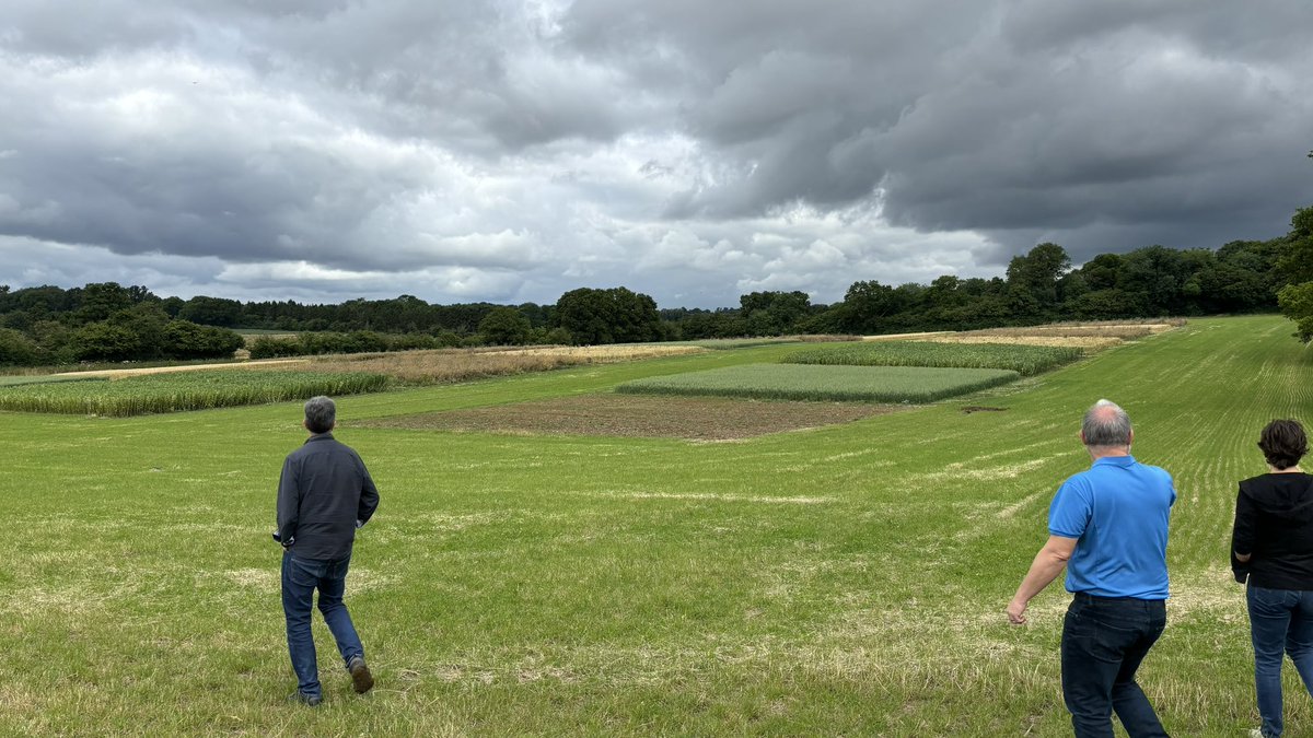 🌾 Visiting our <a href="/Yara_UK/">Yara UK</a> OMF trial at Rothamsted as well as some of their other trial plots 👩‍🔬