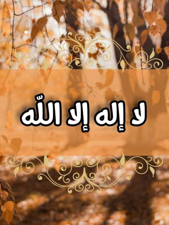 elmhdali's tweet photo. @nizvaq https://t.co/MZWd5KIhJV