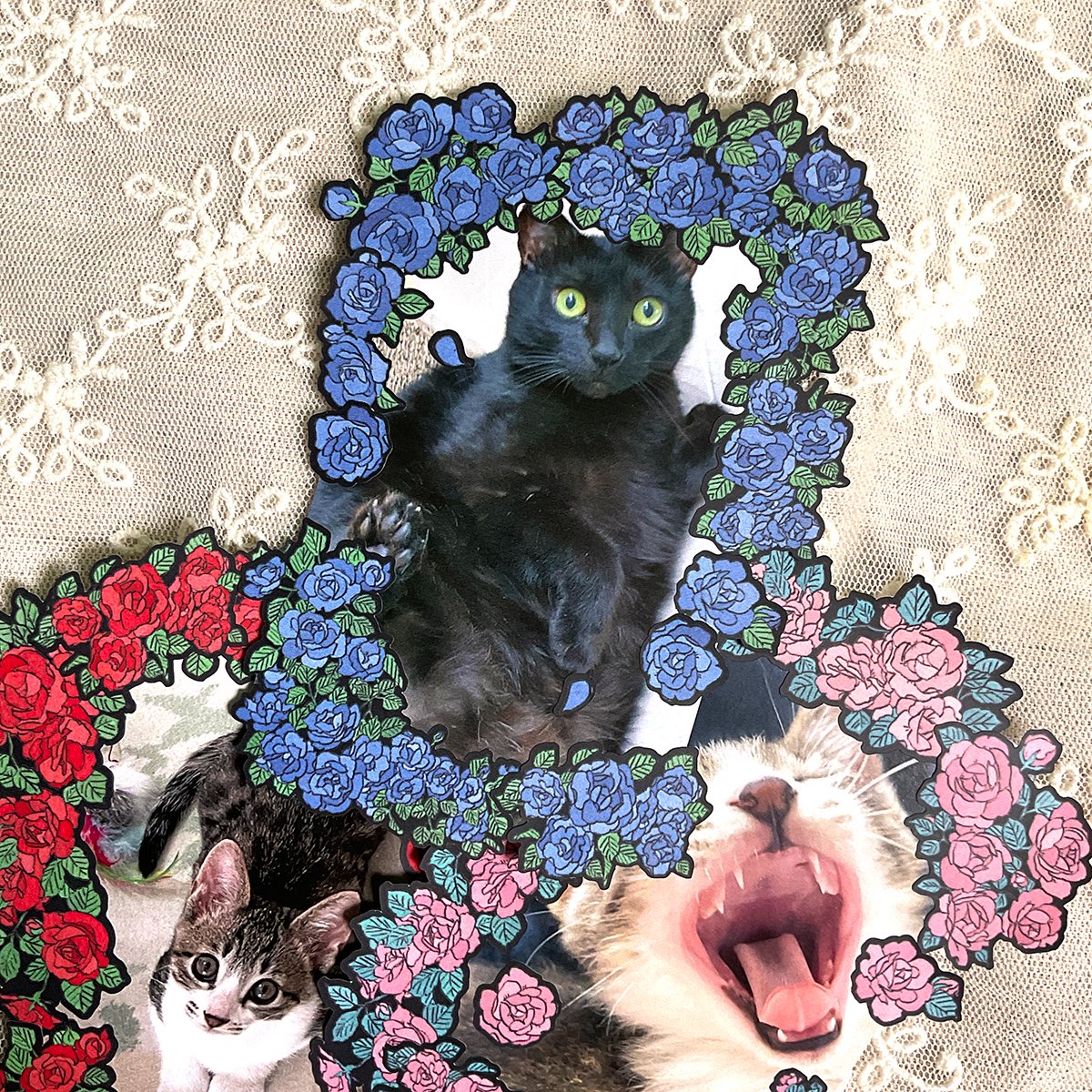 이번 주에 업로드되는 신상 살짝 스포 🐱

주변 분들의 고양이를 알차게 빌렸답니다. 😄
포토카드 사이즈로 처음 뽑아봤는데 붙이는 동안 너무너무 재밌었어요.