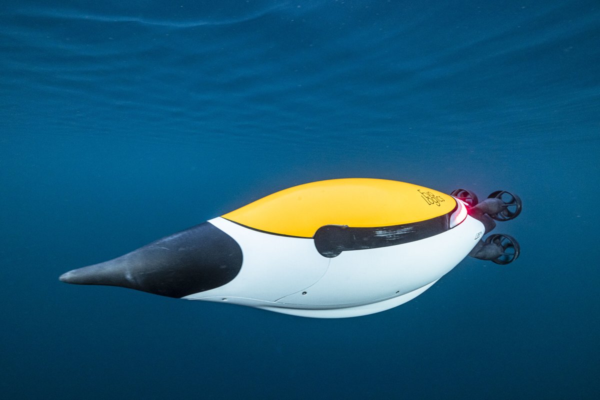 Congratulations to our team - the Quadroin in the robotics winner of the Deep Tech Berlin award! 🐧🎉 Thank you for the great team effort, dedication and persistence!🎉🎉🎉

Images © Guillem López Nicolau, Uhura