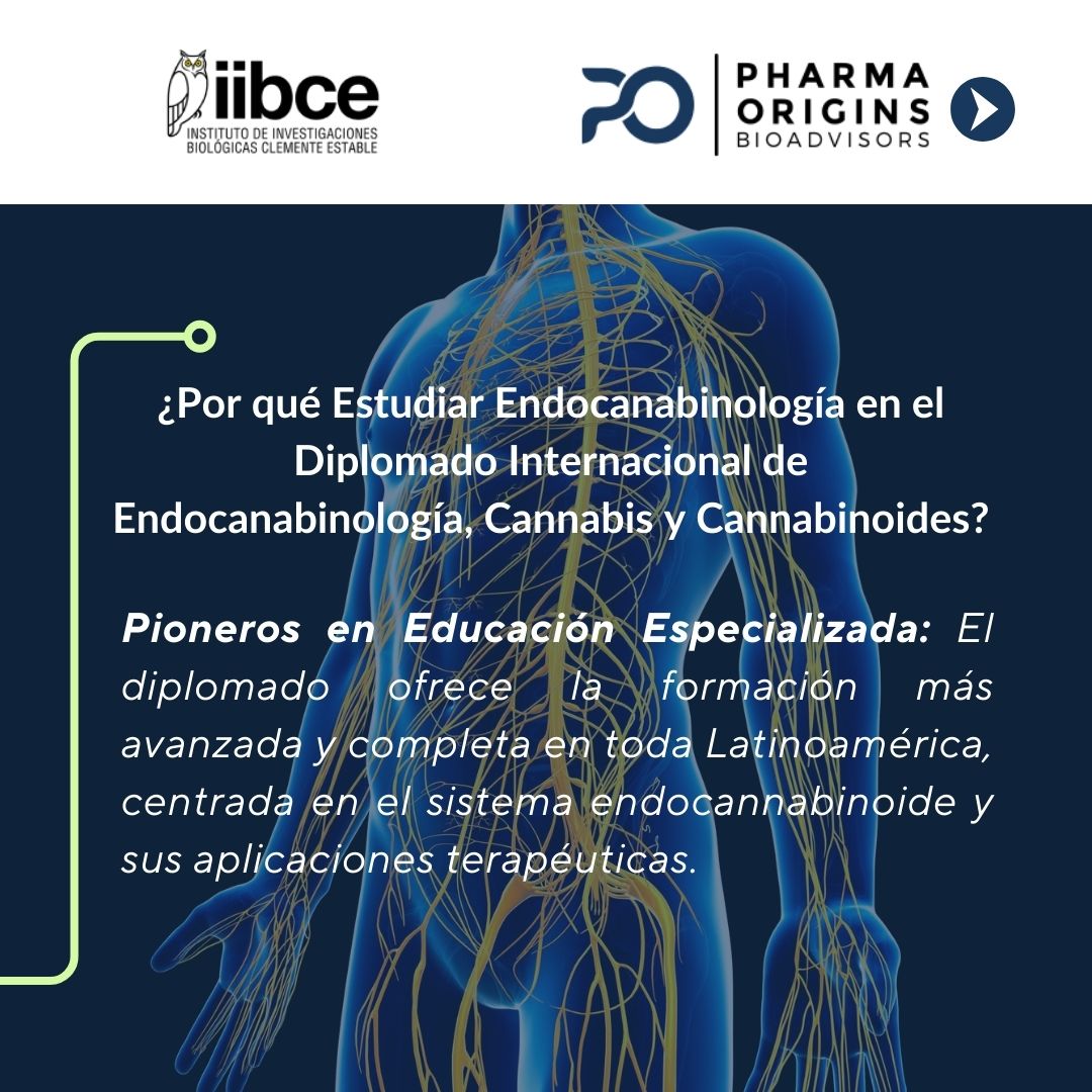 DIECC2024's tweet photo. La importancia del #DIECC. Este programa único ofrece conocimientos avanzados sobre el sistema #endocannabinoide y sus aplicaciones terapéuticas, preparando a los profesionales de la salud para liderar en un campo emergente y revolucionario. 🚀 https://t.co/uVvPc4JGWr