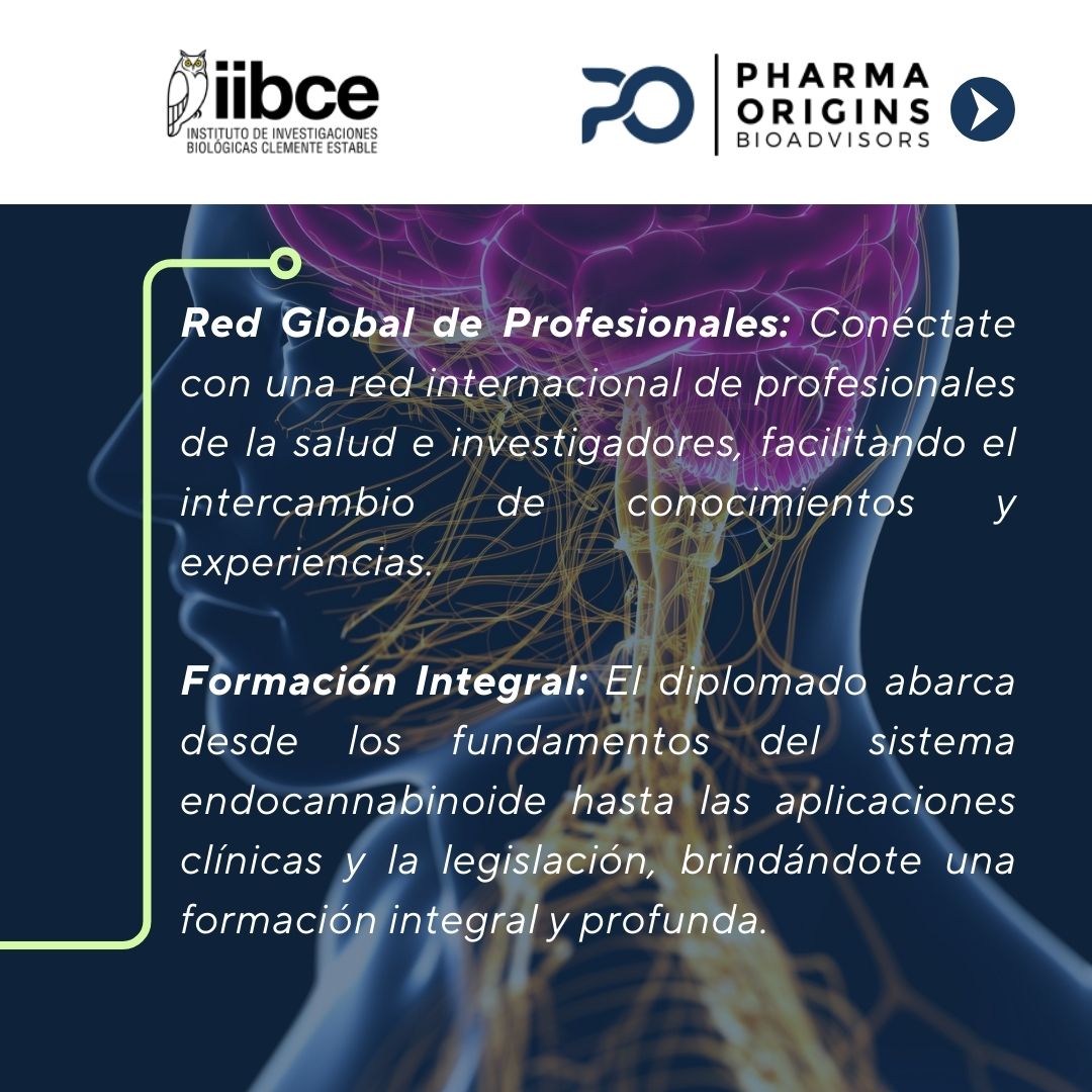 DIECC2024's tweet photo. La importancia del #DIECC. Este programa único ofrece conocimientos avanzados sobre el sistema #endocannabinoide y sus aplicaciones terapéuticas, preparando a los profesionales de la salud para liderar en un campo emergente y revolucionario. 🚀 https://t.co/uVvPc4JGWr