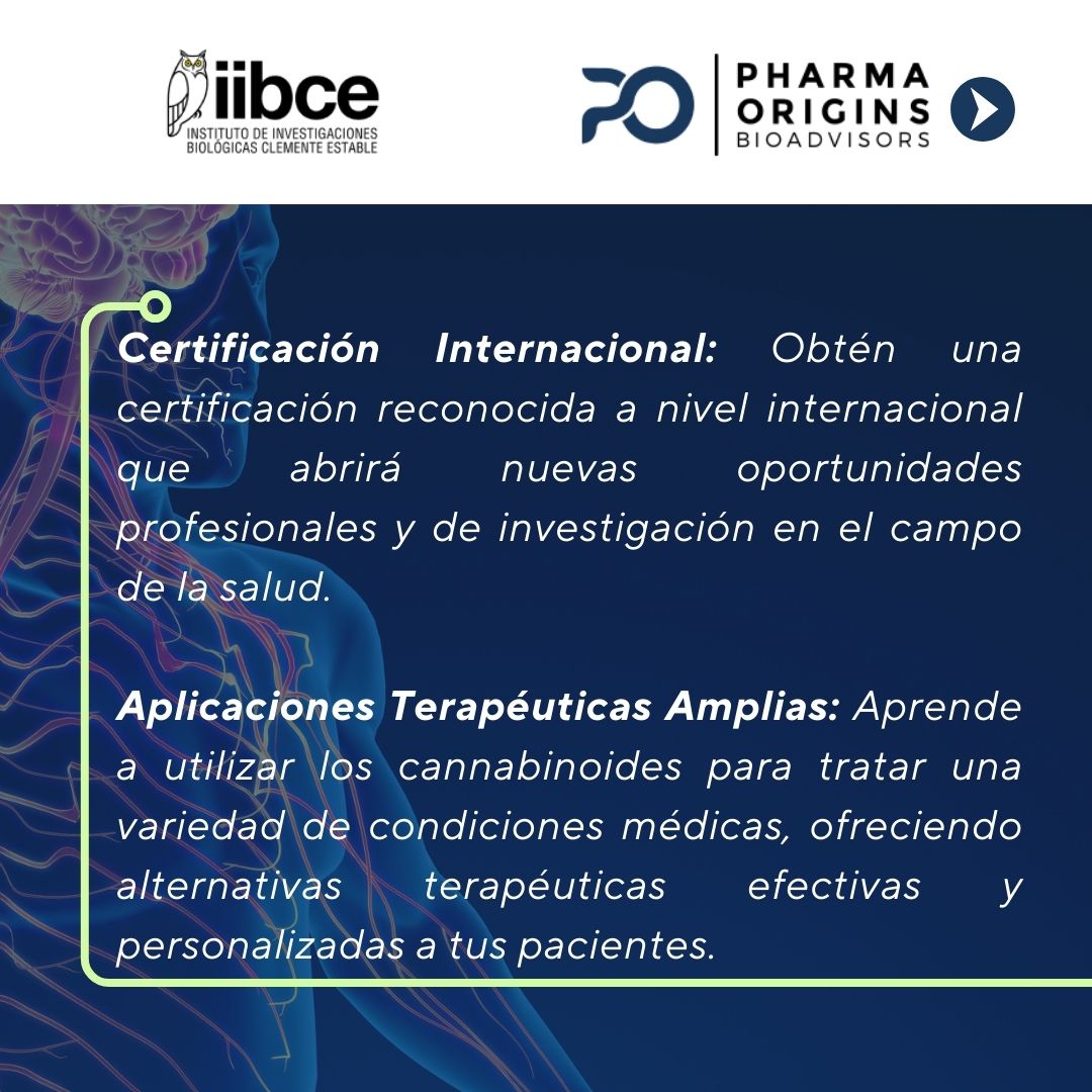 DIECC2024's tweet photo. La importancia del #DIECC. Este programa único ofrece conocimientos avanzados sobre el sistema #endocannabinoide y sus aplicaciones terapéuticas, preparando a los profesionales de la salud para liderar en un campo emergente y revolucionario. 🚀 https://t.co/uVvPc4JGWr