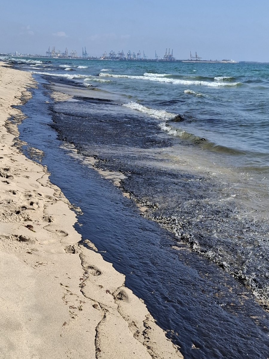 JosGOSALBEZ1's tweet photo. Valorando y evaluando el daño en La Devesa y playas cercanas por un vertido de hidrocarburos.

Las playas de Pinedo, Arbre del Gos, Saler, la Garrofera y la Devesa permanecerán cerradas hasta nueva orden. https://t.co/L9CQjChaVF
