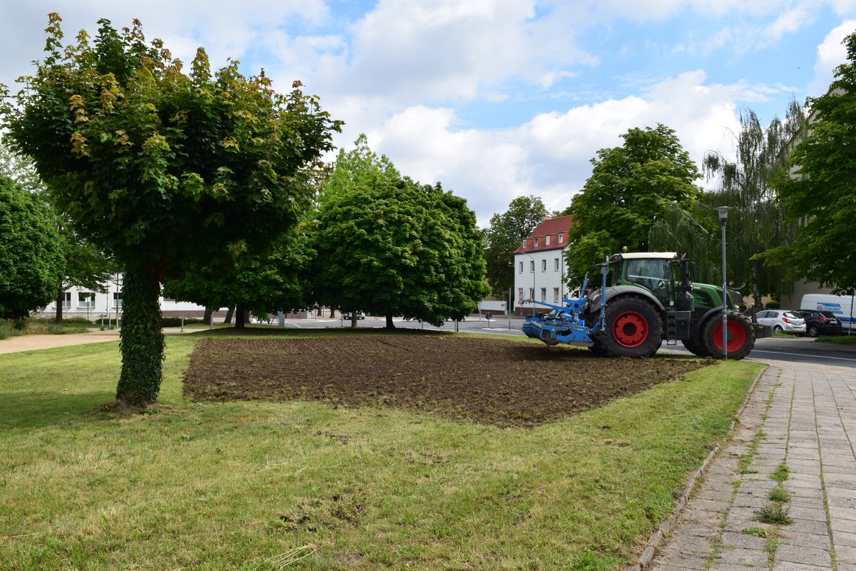 KompetenzGrün: Köthen wird bunt!
Die Stadt Köthen hat in der vergangenen Woche die ersten Bodenvorbereitungen umsetzen lassen. Ende August wird eine artenreiche, zertifizierte Wildpflanzenmischung eingesät.