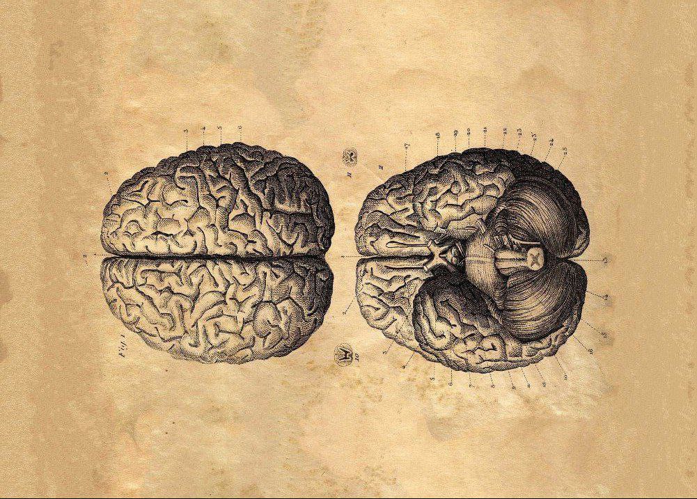 زندگی مجموعه ای منظم از بی نظمی هاست مجموعه ی معقول از بی عقلی ها
#Bahram  -lams