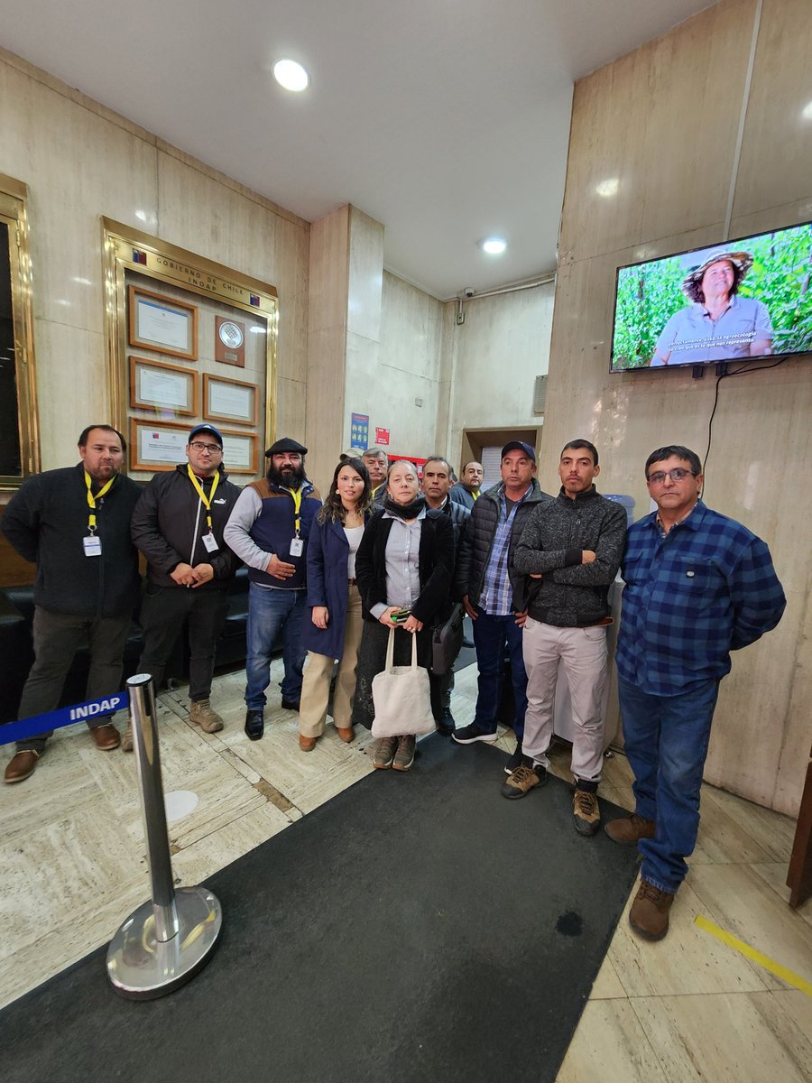 Apoyando a grupo de #apicultores afectados por el cierre de #Apicoop Cooperativa estaría cerrando SIN pagarles a cientos de pequeños productores. Se informó a <a href="/INDAP_Chile/">INDAP_Chile</a> <a href="/rojassantiagro/">Santiago Rojas Alessandri</a> junto a #senadoraASepúlveda <a href="/tvalenzuelavt/">Esteban Valenzuela Van Treek</a> <a href="/apiunisexta/">Apiunisexta Ag.</a> <a href="/abejashbee/">HBee</a> <a href="/chilemiel/">Chilemiel</a> <a href="/apiaustral/">Apiaustral A.G.</a>