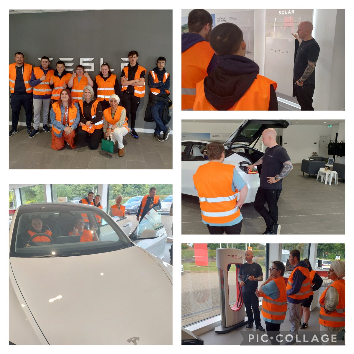 Adrian Cole tweet media