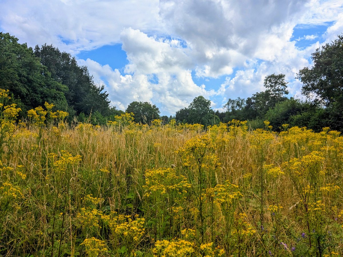 Guten Abend, gute Nacht!