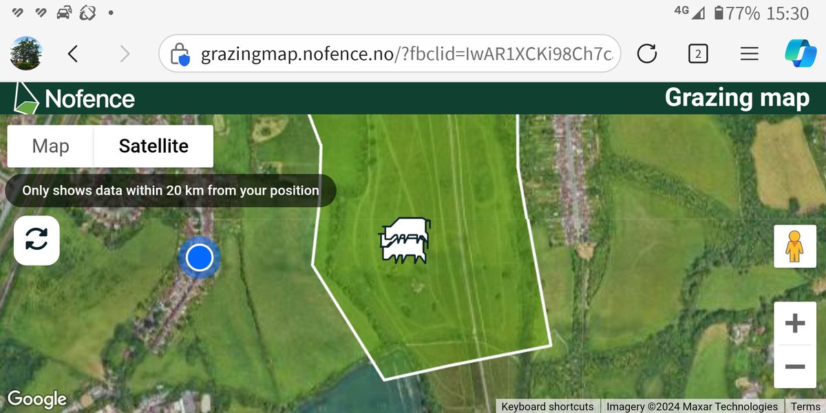 HeritageClsdn's tweet photo. Don't forget that you can use the @Nofence_AS grazing map on your phone to find the #SussexCattle on #FarthingDowns https://t.co/rg0HP4idWC https://t.co/6mJ8iFEna7