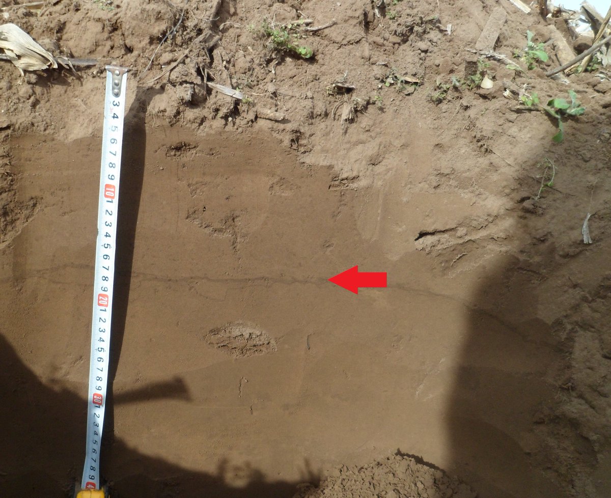 suelosdecordoba's tweet photo. Estas pequeñas bandas oscuras, de no más de 1 cm de espesor, están enriquecidas en arcillas y tienen un gran efecto en el movimiento del agua en el suelo. https://t.co/Zckn83hPyI