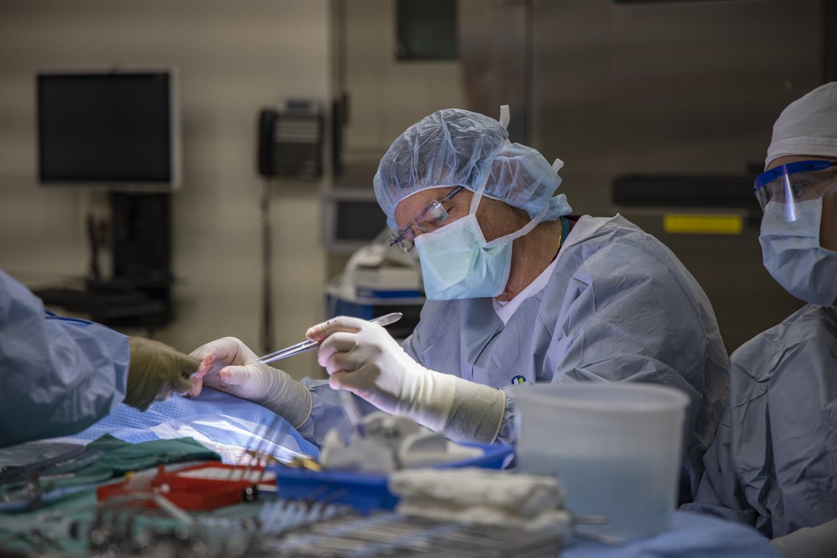 IowaOto's tweet photo. 🏆 Exciting News! Our ENT program has been ranked #14 in the U.S. News &amp; World Report rankings! 🏅

#UIHealthcare #ENT #TopRanked #BestHospitals #HealthcareExcellence #Iowa #MedicalResearch #PatientCare #IowaOto #changingmedicinechanginglives https://t.co/pQCIQNeomx