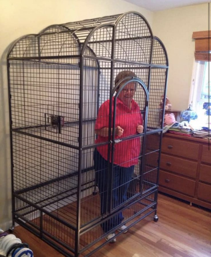 Pablo León tweet media