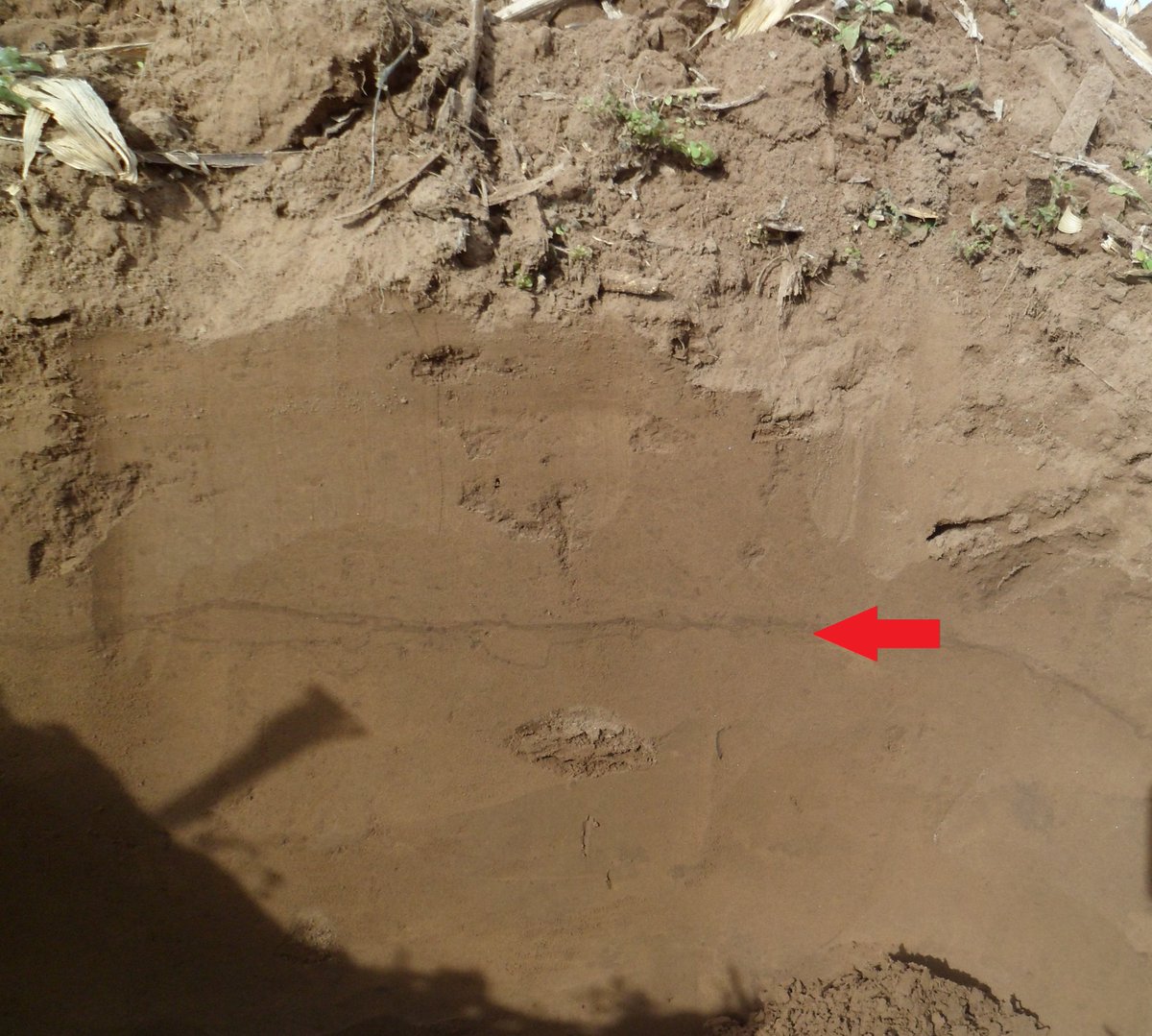 suelosdecordoba's tweet photo. Estas pequeñas bandas oscuras, de no más de 1 cm de espesor, están enriquecidas en arcillas y tienen un gran efecto en el movimiento del agua en el suelo. https://t.co/Zckn83hPyI