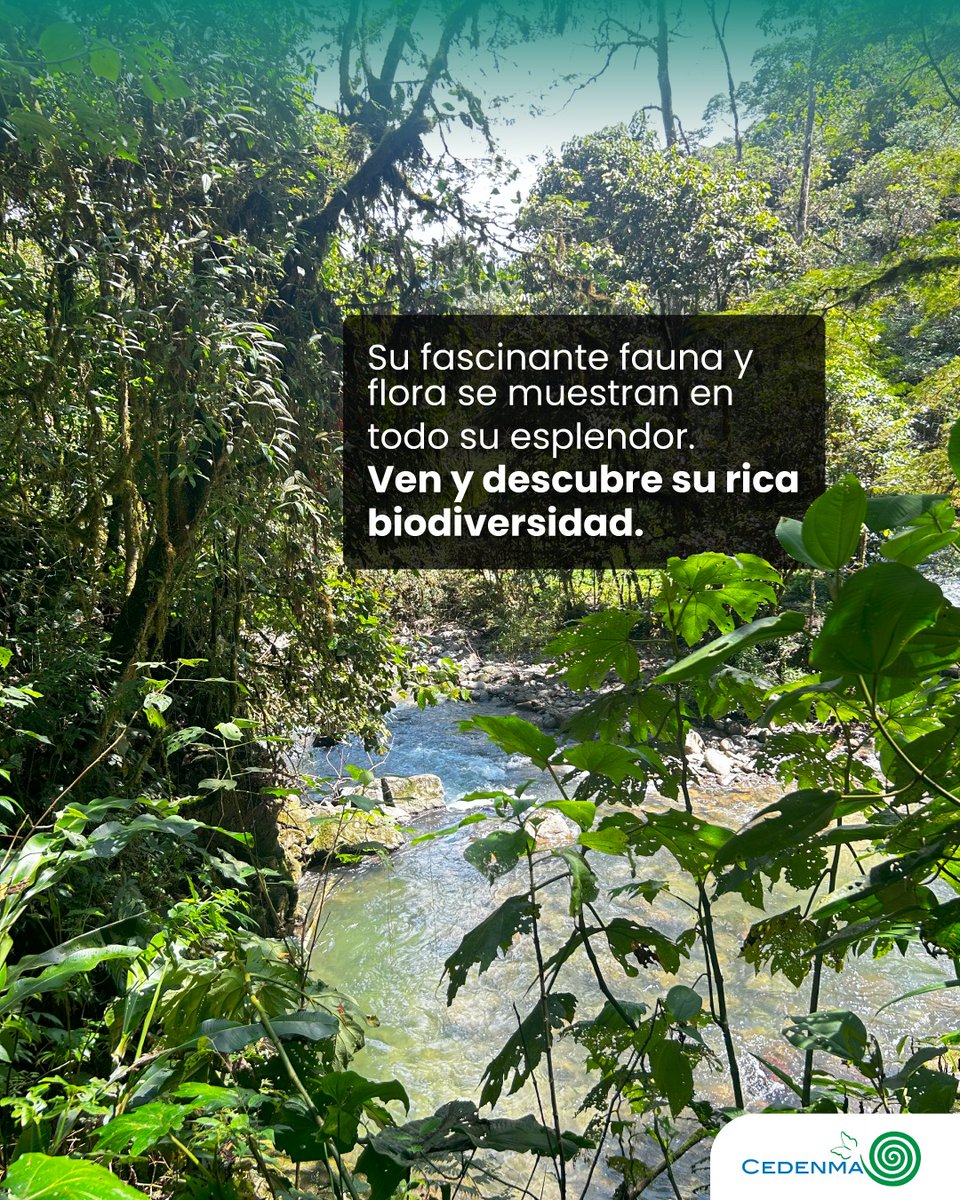 🌿🦜Descubre la belleza y la biodiversidad de Intag. Déjate sorprender y vive una experiencia única en un entorno natural inigualable .

¡Ven y conecta con la esencia de la naturaleza!✨🌸

#IntagEsVida