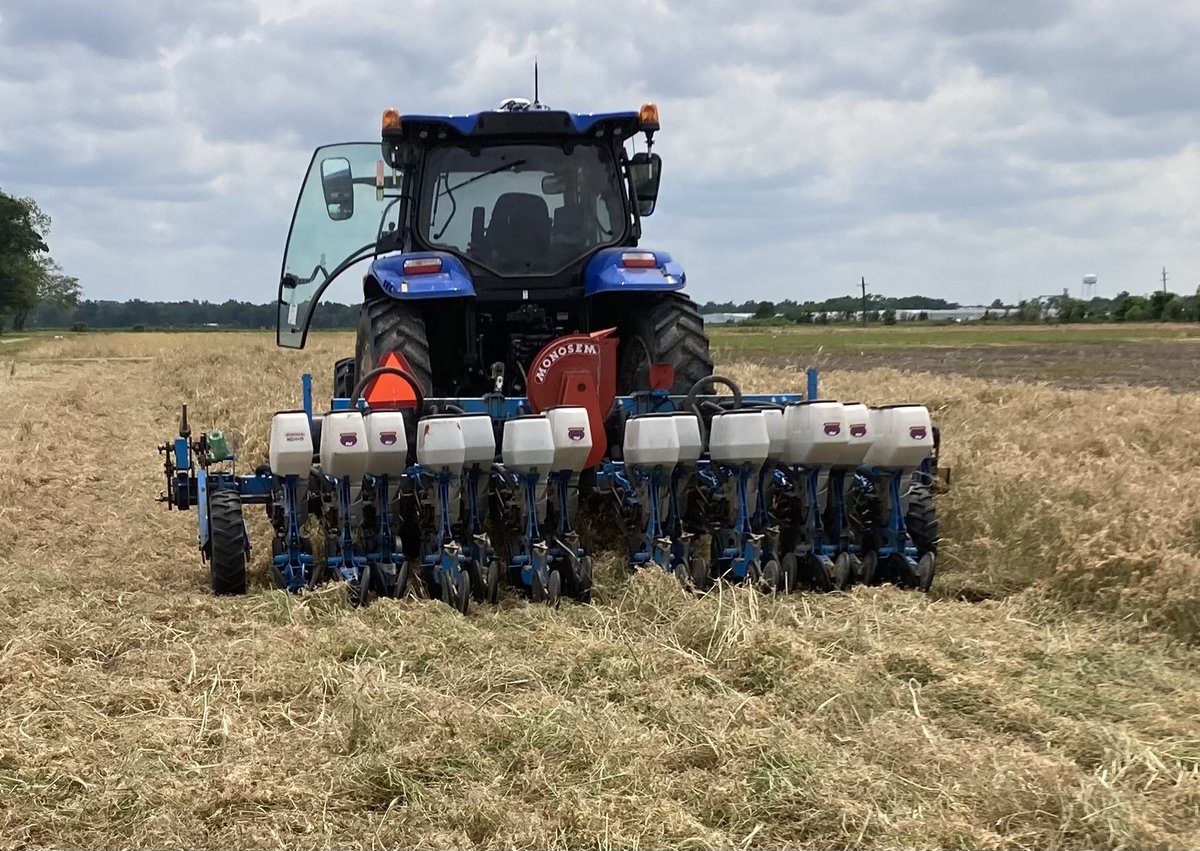 Louisiana Delta Crop Report (@ladeltacrop) on Twitter photo The annual Northeast Research Station Row Crops Field Tour will be held on Tuesday, July 23, 2024 in St. Joseph, LA with registration starting at 4:30. The program will begin at 5 pm with the field tour departing at 5:15. <a href="/LSUAgCenter/">LSU AgCenter</a> <a href="/lsu_BMPs/">LSUAgCenterOnFarmBMPs</a> <a href="/SouthCoverCrops/">SouthernCoverCropsCouncil</a> @FarmBureauNews The annual Northeast Research Station Row Crops Field Tour will be held on Tuesday, July 23, 2024 in St. Joseph, LA with registration starting at 4:30. The program will begin at 5 pm with the field tour departing at 5:15. <a href="/LSUAgCenter/">LSU AgCenter</a> <a href="/lsu_BMPs/">LSUAgCenterOnFarmBMPs</a> <a href="/SouthCoverCrops/">SouthernCoverCropsCouncil</a> @FarmBureauNews