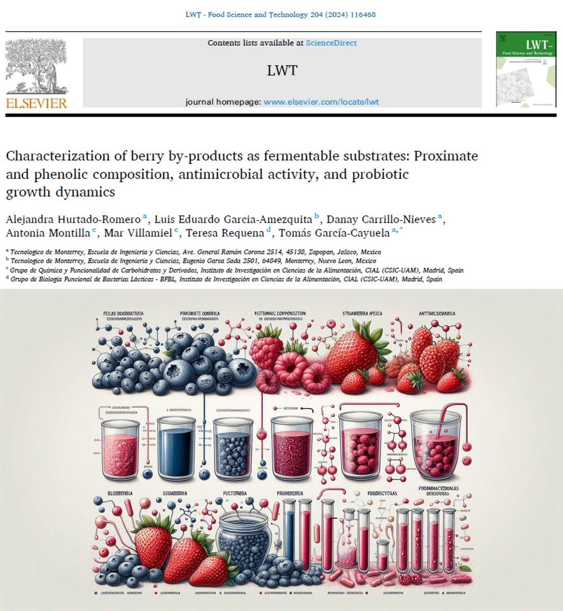 tgcayuela's tweet photo. ¡Nueva publicación!

Exploramos cómo los subproductos que se generan tras el procesamiento de #berries pueden ser utilizados como sustratos fermentables y de aplicación en la industria alimentaria y farmaceútica.

Link: https://t.co/vnZgO2VuOC

#TecInvestiga @foodandbiotech https://t.co/mS8JM1vWjt