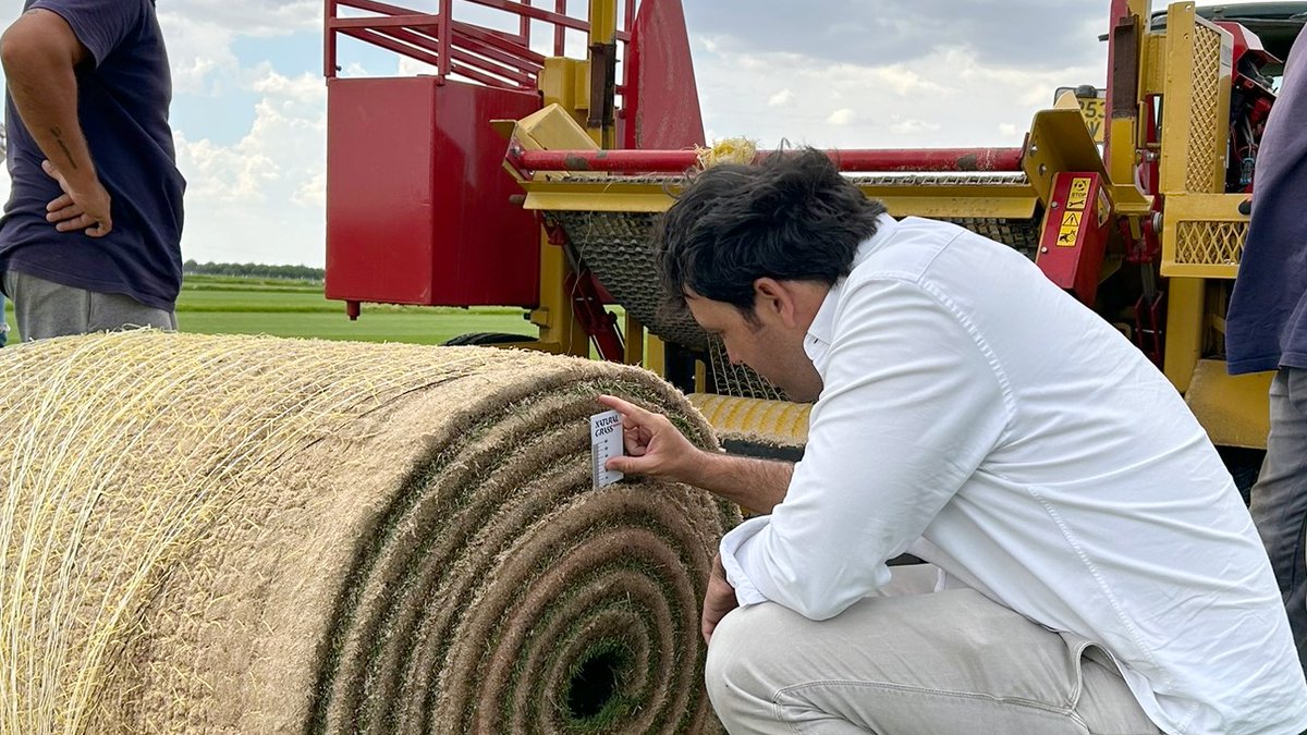 Natural Grass tweet media