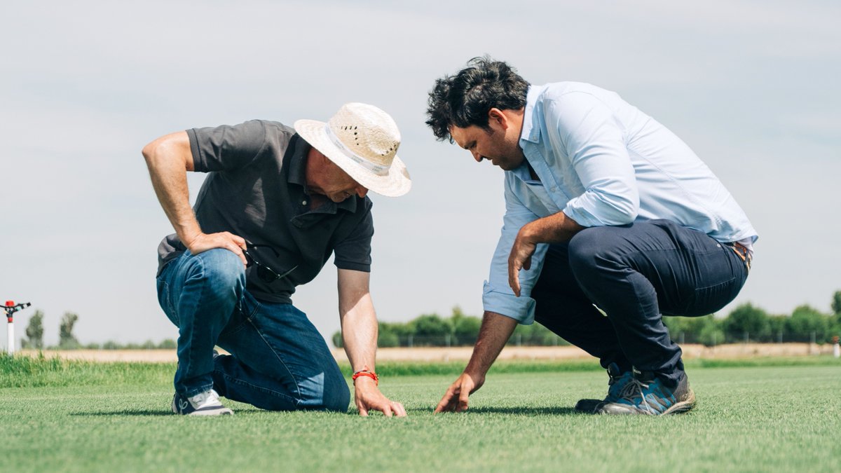 Natural Grass tweet media