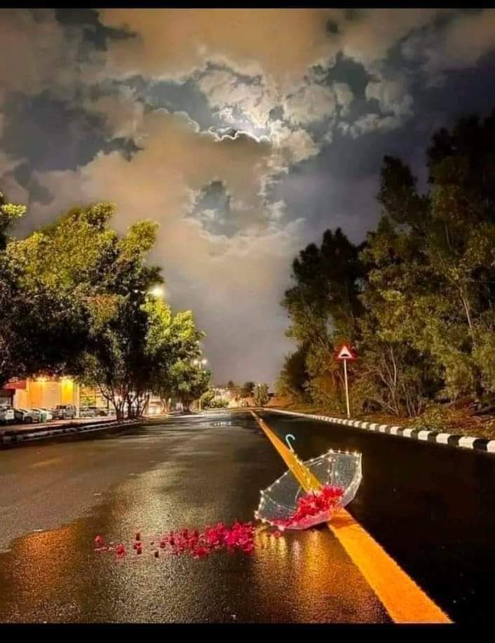 Assalamualaikum ✨♥️ 
GOOD NIGHT X FAMILY ✨♥️ 
Stay happy✨♥️

Good-night, my love, good-night, good-night. Sweet dreams attend thee in thy sleep, To soothe thy rest till morning's light, And angels round thee vigil keep.♥️