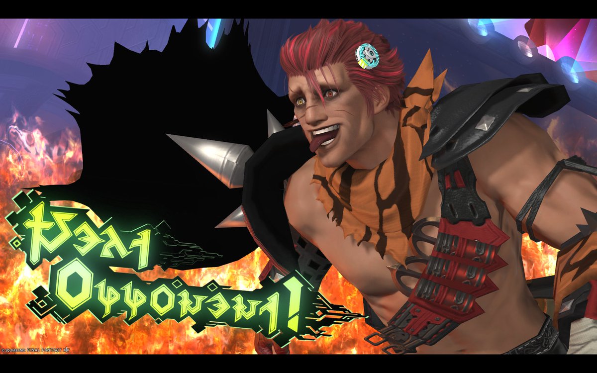 【FF14】アルカディア:ライトヘビー級の全員のカットインだよ！