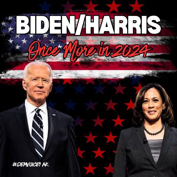 InvisibleTweetG's tweet photo. If you want to make America 🇺🇸 safe then you must get out there and #VoteBidenForGunControl. Our country has a gun problem that won’t be resolved by anyone in the Republican Party. Only Democrats are willing to protect us. #DemVoice1 #PatriotsVoteBlue https://t.co/cgKLMdNFcg