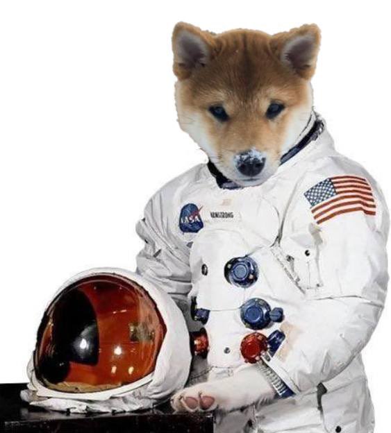 jaquiefff's tweet photo. @pattyice Study $dog on Solana

25% supply burned forever, 35% locked for 100 year, CTO team is locked tf in

@DogTokenSolana the ticker is $dog

H7JvMvHU5KkCMN1bABMDTUNbBr98iVYDHbpPoZMnpump https://t.co/LTKvQSp0R9