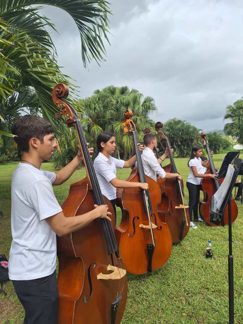 BettysMunoz's tweet photo. Bello concierto de la Orquesta Sinfónica Juvenil José Félix Ribas. Muchas Gracias a mis amigos por tan hermoso regalo profesor Alfredo Ascanio  y profesora Yenny Noguera. https://t.co/OnobRwr0vh