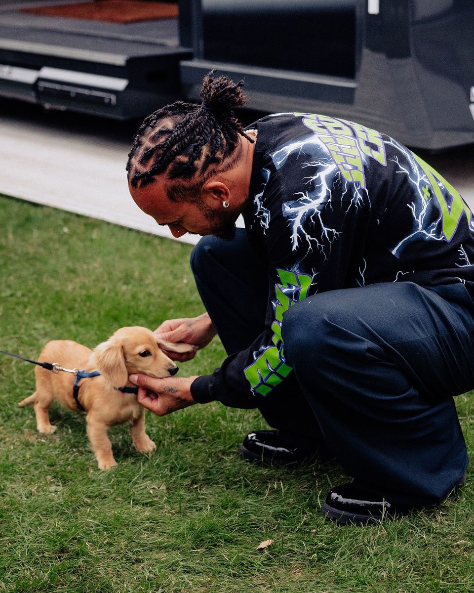 ritwika_15's tweet photo. Pictures we've all been waiting for!

Leo Leclerc meets Roscoe Hamilton!❤😍 https://t.co/2r0LqdDZ4z