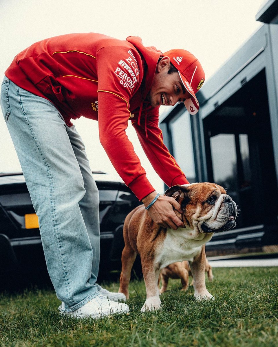 ritwika_15's tweet photo. Pictures we've all been waiting for!

Leo Leclerc meets Roscoe Hamilton!❤😍 https://t.co/2r0LqdDZ4z