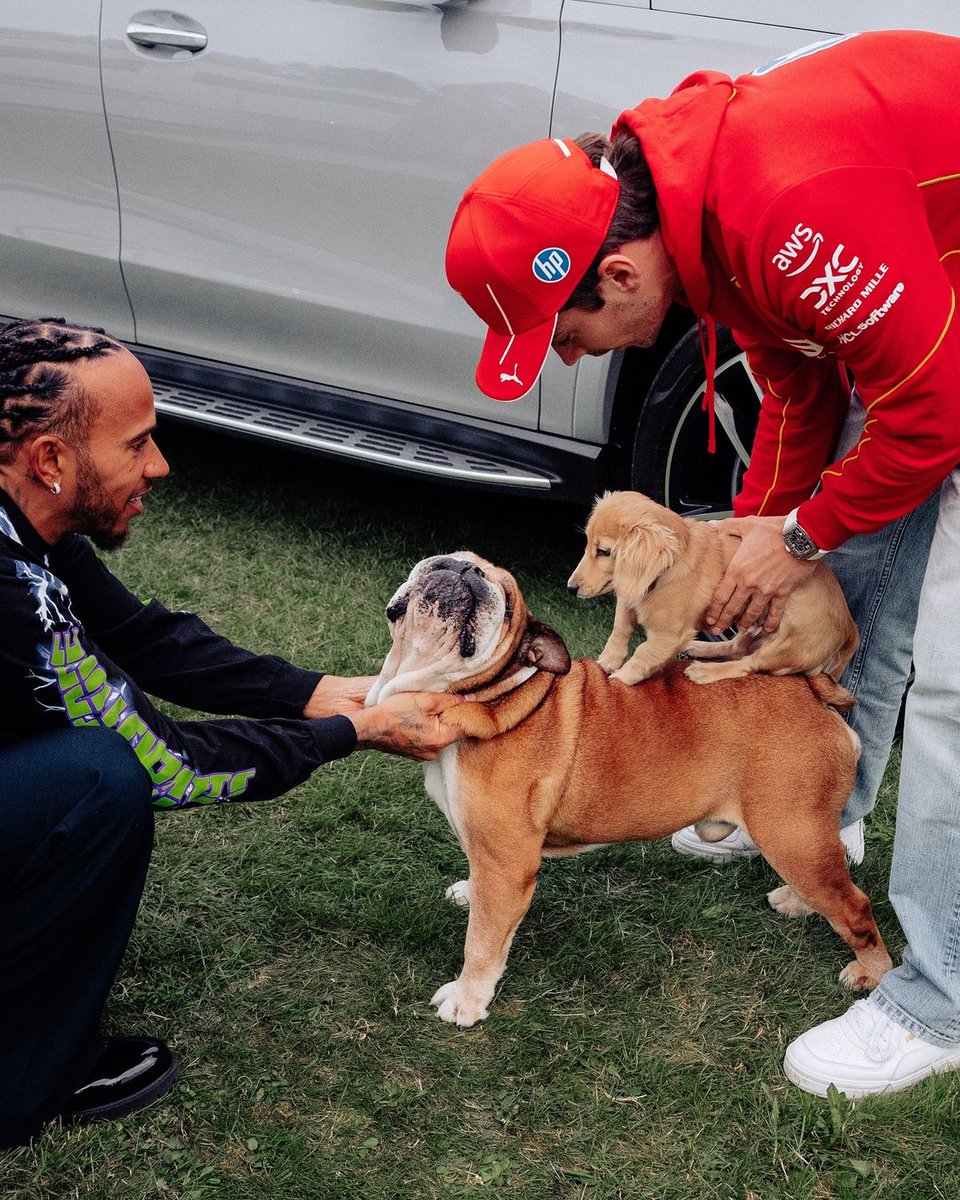 ritwika_15's tweet photo. Pictures we've all been waiting for!

Leo Leclerc meets Roscoe Hamilton!❤😍 https://t.co/2r0LqdDZ4z