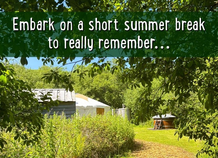 Florence Springs Luxury Lodges & Glamping tweet media