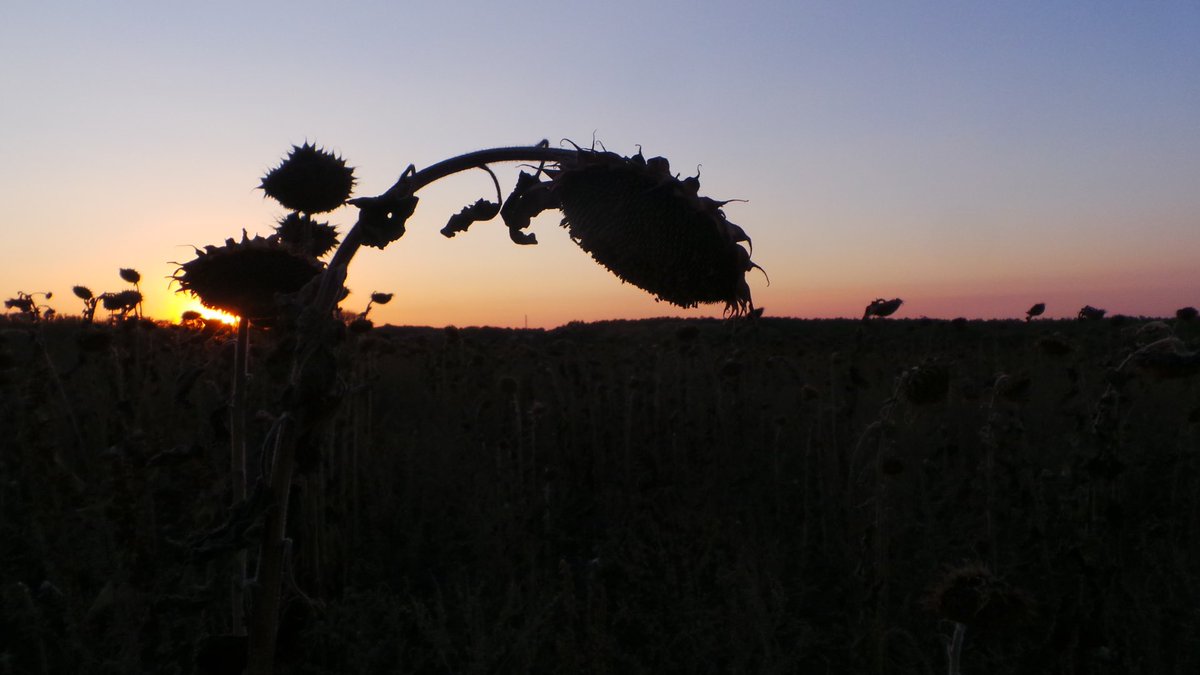 JeroenAkkermans's tweet photo. #MH17. Een terugblik van collega @BlackberryRTL tien jaar na dato. En nog steeds is het verhaal over het neerhalen van vlucht MH17 niet te harden. Rusland blijft tot op de dag van vandaag betrokkenheid ontkennen. https://t.co/wkf1qQf91w https://t.co/g6KwIuRDuM