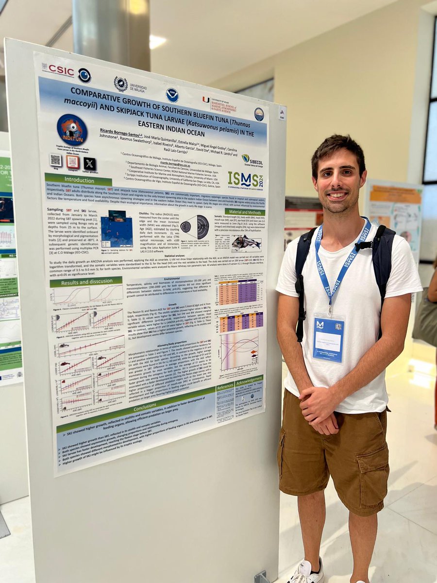 Our colleague Ricardo Borrego presented the first results of daily growth of southern bluefin tuna (Thunnus maccoyii) larvae after 37 years! He also showed a comparative growth study between T.maccoyii and skipjack tuna (k.pelamis) larvae at the #ISMS congress!
<a href="/IEO_Malaga/">IEO Málaga 🌊⛴️🐟🌡️🔬</a>