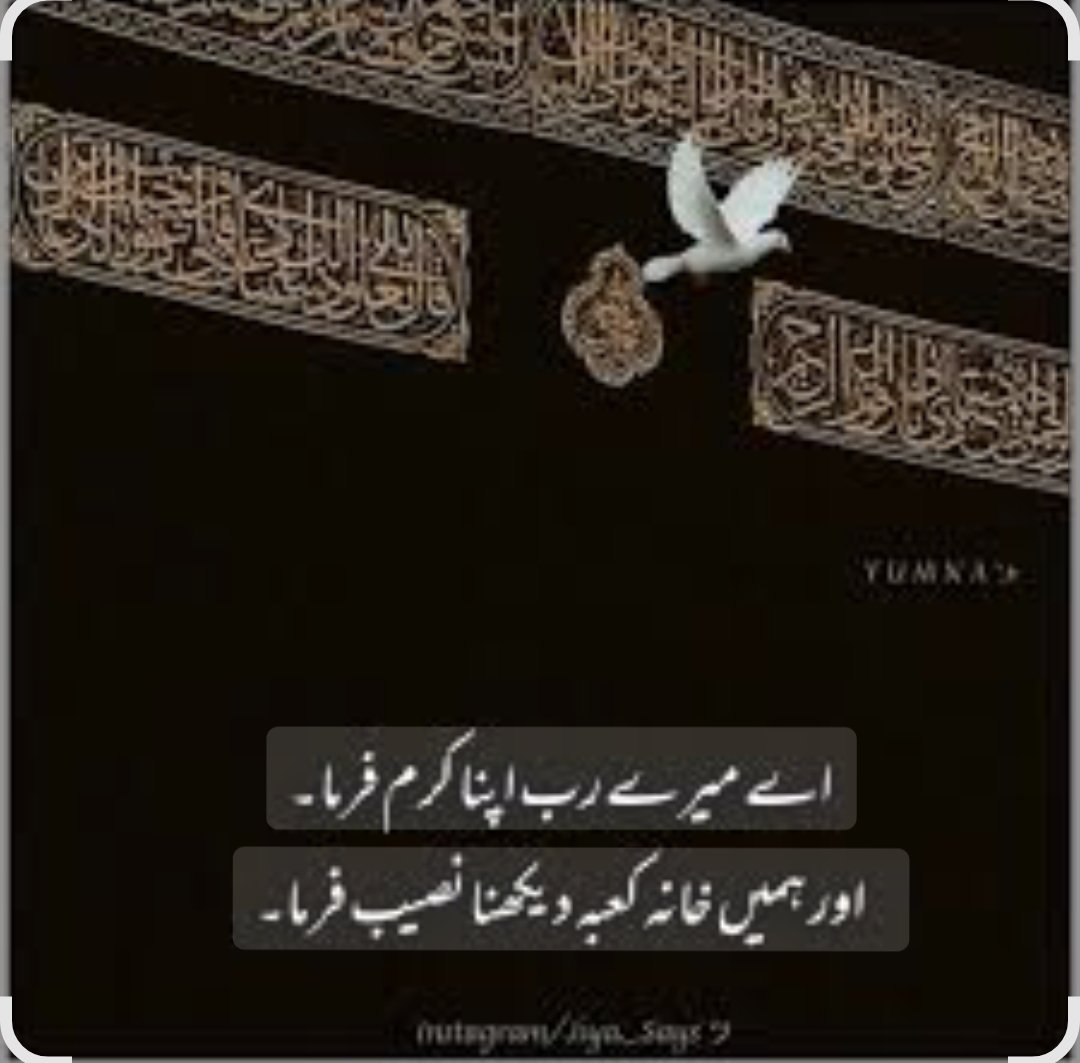 Khawaja Faizan Wani tweet media