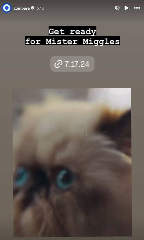 Mister Miggles tweet media