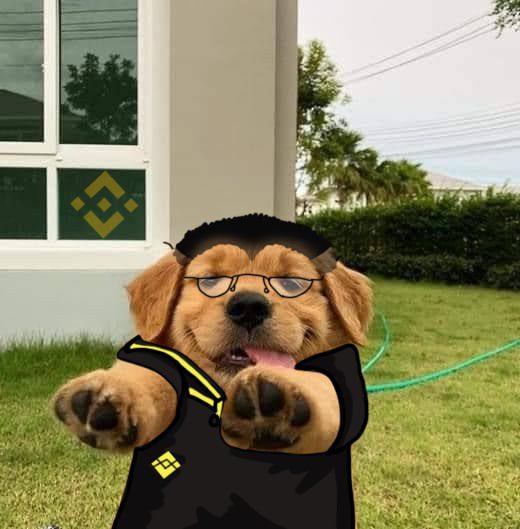 <a href="/cb_doge/">DogeDesigner</a> Ahahaha.
No $Buddy needs that shit
Just know we going higher.